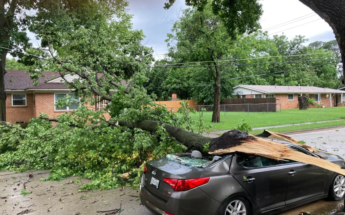 Spring Storms in North Texas: What Denton County Homeowners Should Know About Insurance Claims and Repairs